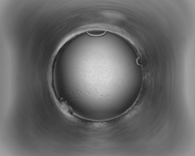 X0000115601523200911171118