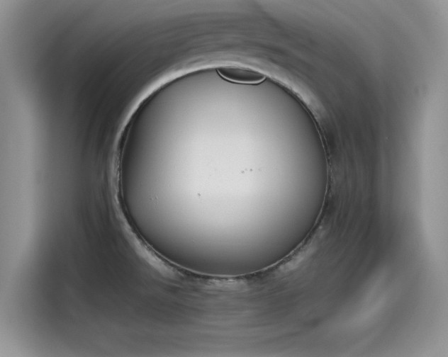 X0000115601526200911171118