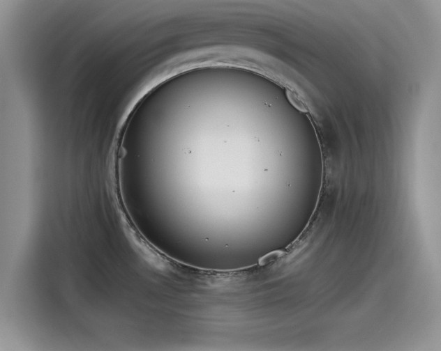 X0000115601530200911171118