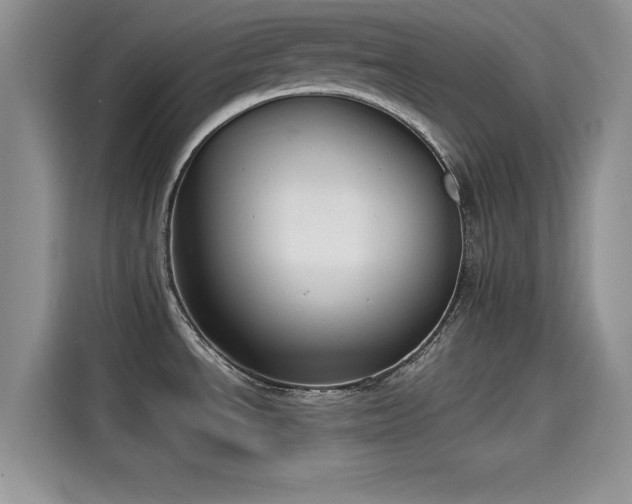 X0000115601534200911171118