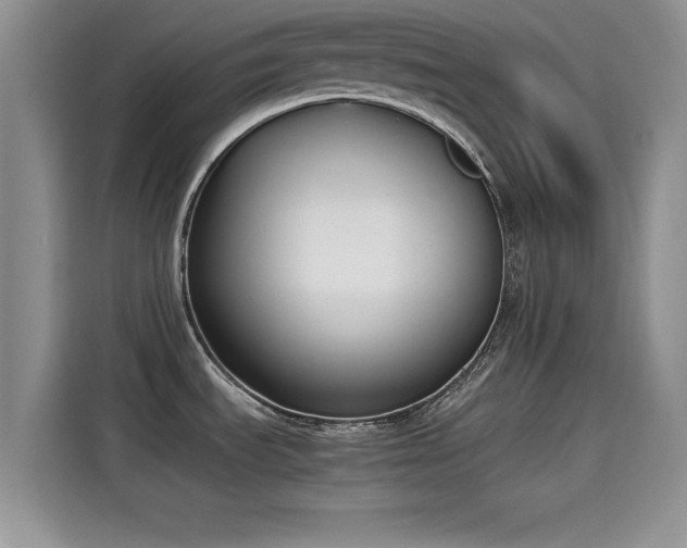 X0000115601535200911171118