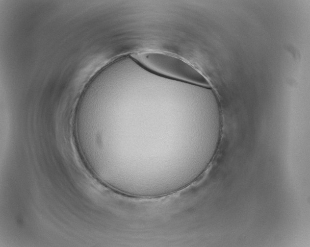 X0000115600001200911241605