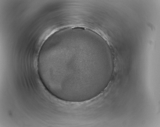 X0000115600002200911241605