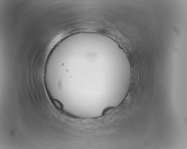 X0000115600003200911241605