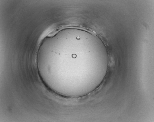 X0000115600004200911241605