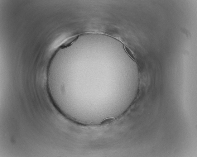 X0000115600005200911241605