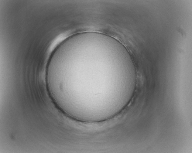 X0000115600006200911241605