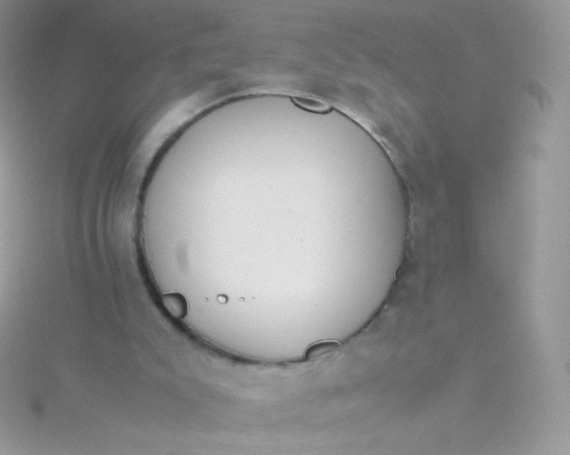 X0000115600007200911241605