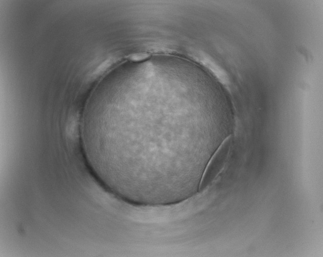 X0000115600009200911241604