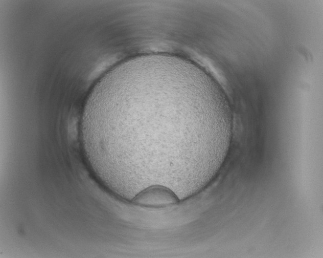 X0000115600010200911241604