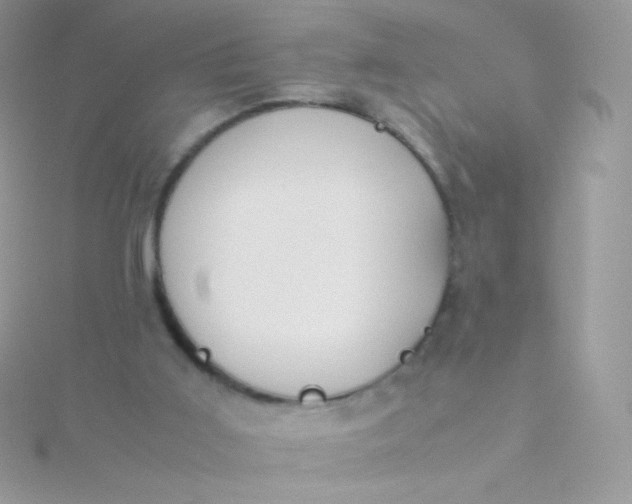 X0000115600011200911241604