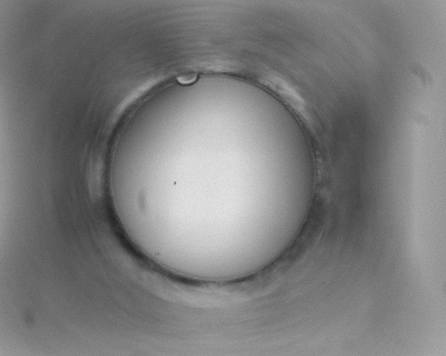 X0000115600012200911241604