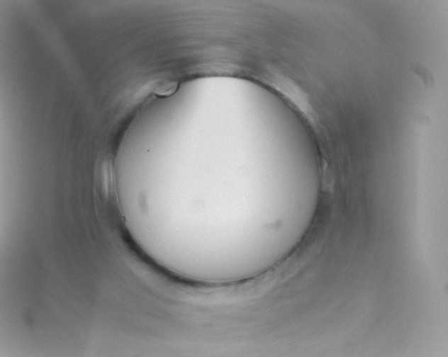 X0000115600013200911241604