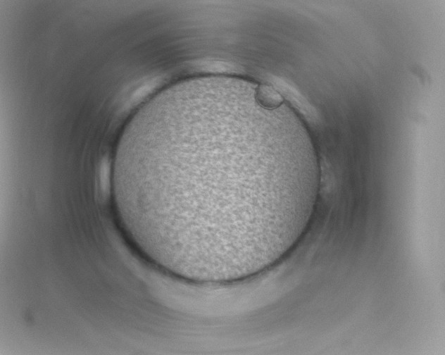 X0000115600014200911241604