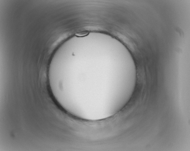 X0000115600015200911241604