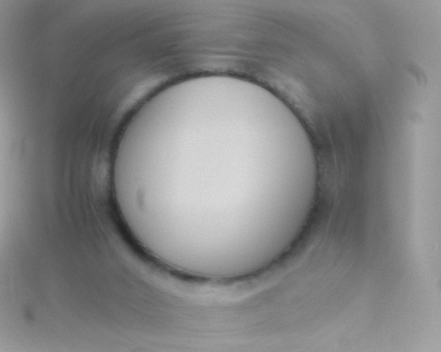 X0000115600016200911241604