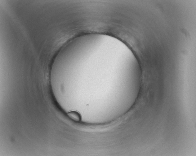 X0000115600017200911241604