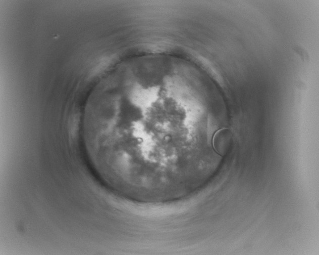 X0000115600018200911241604