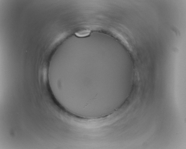 X0000115600019200911241604