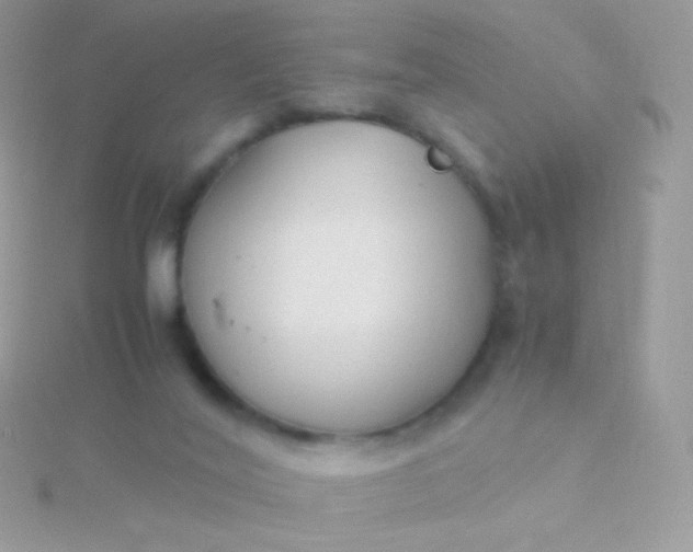 X0000115600020200911241604