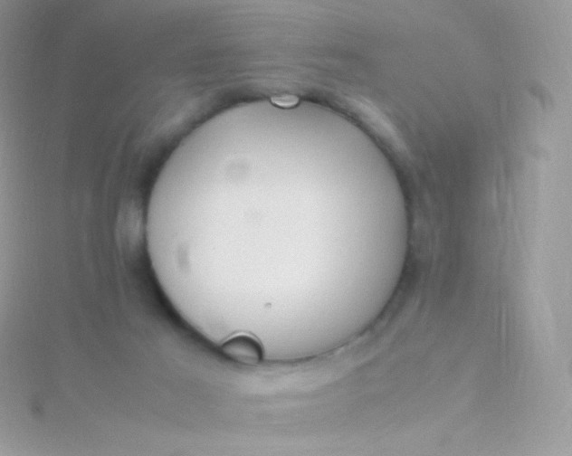 X0000115600021200911241604