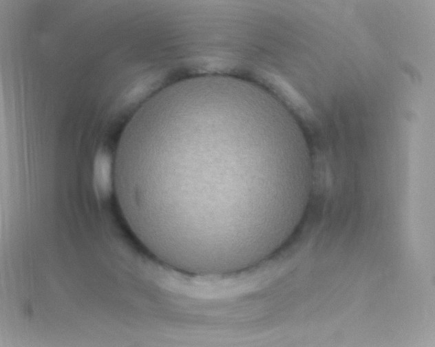 X0000115600022200911241604