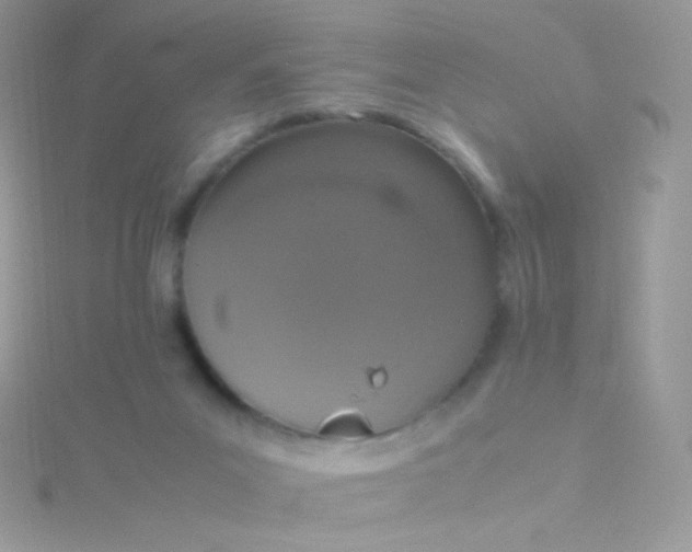 X0000115600023200911241604