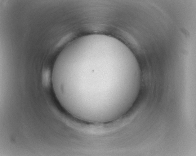 X0000115600024200911241604