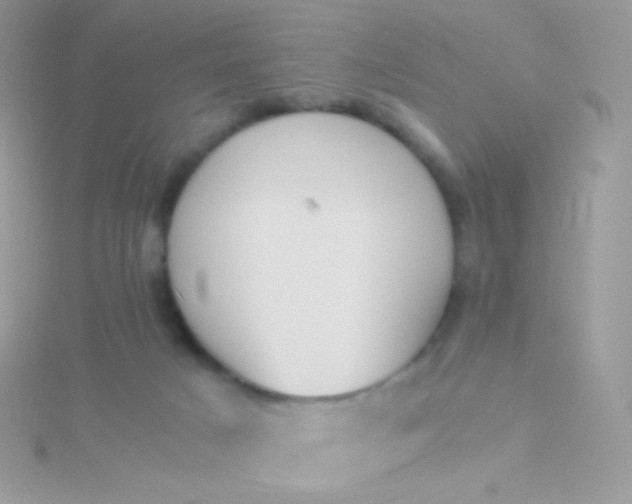 X0000115600025200911241604