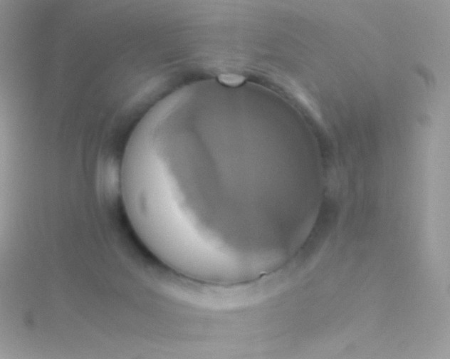 X0000115600027200911241604