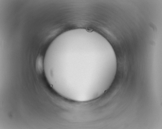 X0000115600028200911241604