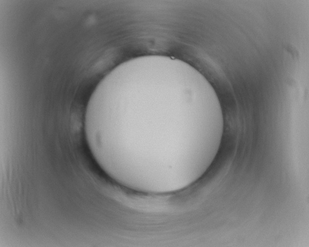 X0000115600032200911241604