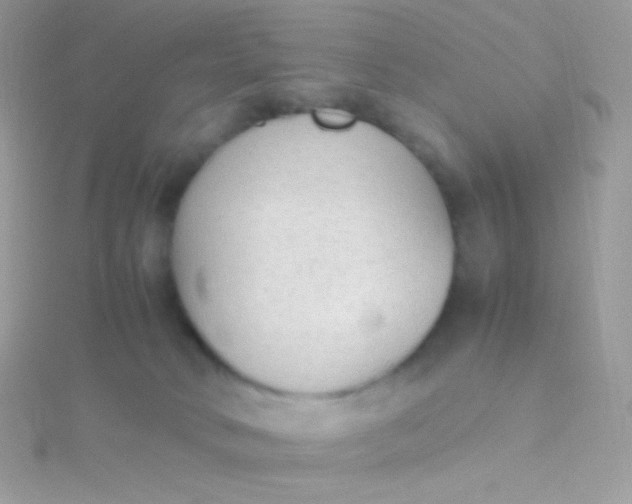 X0000115600034200911241604