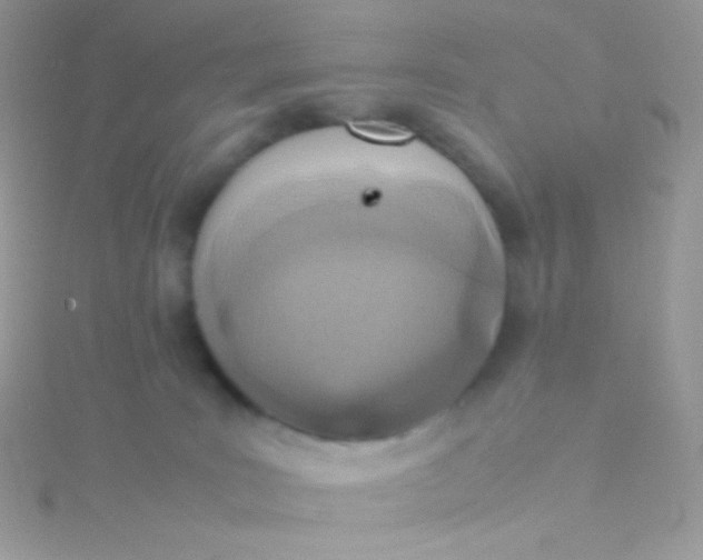 X0000115600035200911241604