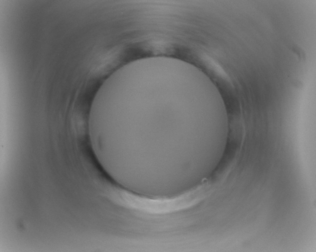 X0000115600039200911241604