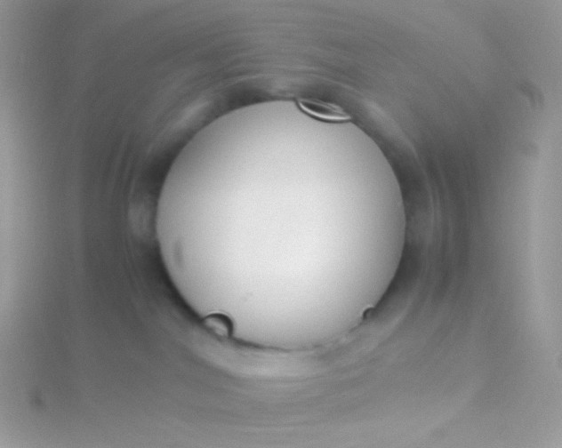 X0000115600044200911241604