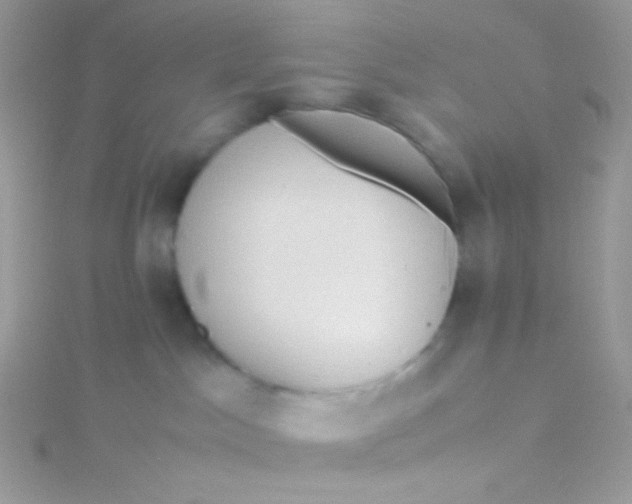 X0000115600045200911241604