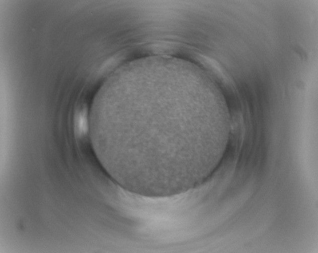 X0000115600046200911241604