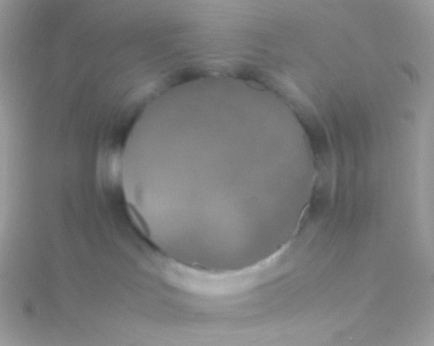 X0000115600047200911241604