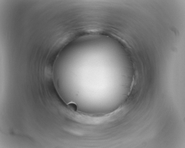 X0000115600048200911241604