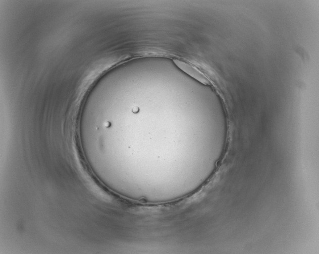 X0000115600049200911241603