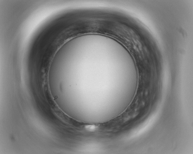 X0000115600050200911241603