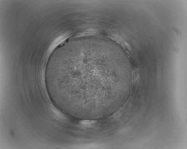 X0000115600051200911241603