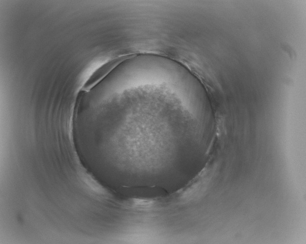 X0000115600052200911241603