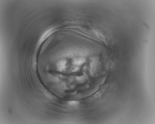 X0000115600053200911241603