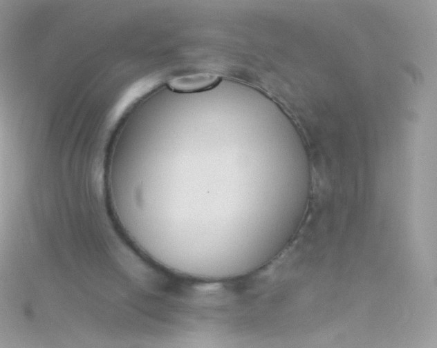 X0000115600054200911241603