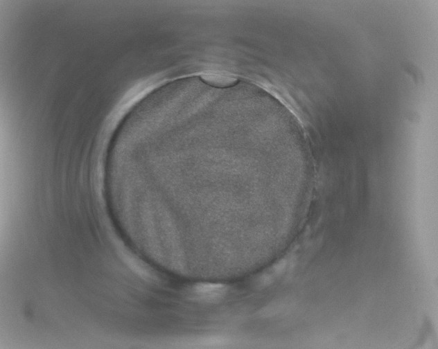 X0000115600055200911241603