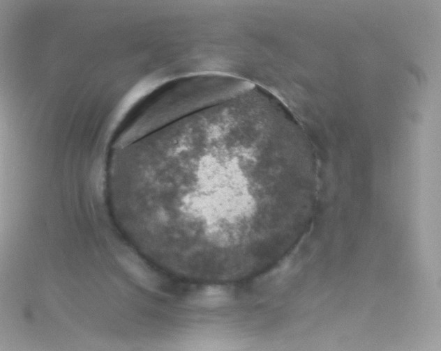 X0000115600056200911241603