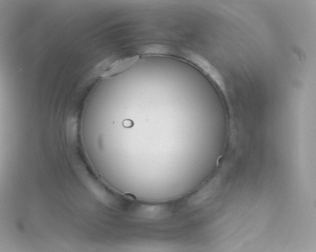 X0000115600057200911241603