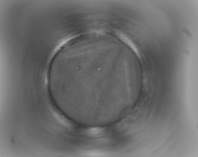 X0000115600059200911241603